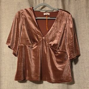 Knox Rose Velvet V-Neck Blouse - Brown